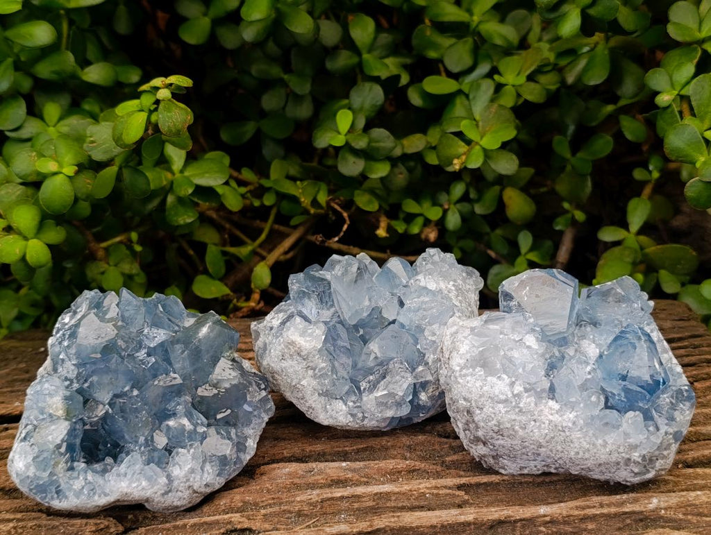 Natural Blue Celestite Geode Specimens x 3 From Sakoany, Madagascar - Toprock Gemstones and Minerals 