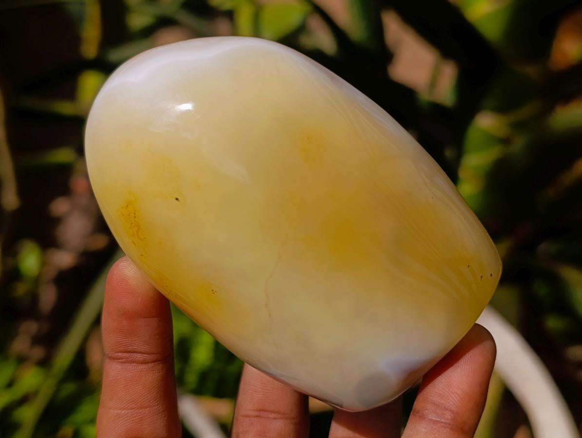Polished Banded Agate and Flower Agate Standing Free Forms x 6 From Madagascar - Toprock Gemstones and Minerals 