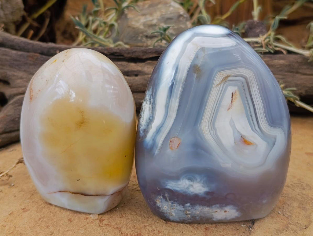 Polished Banded Agate and Flower Agate Standing Free Forms x 6 From Madagascar - Toprock Gemstones and Minerals 