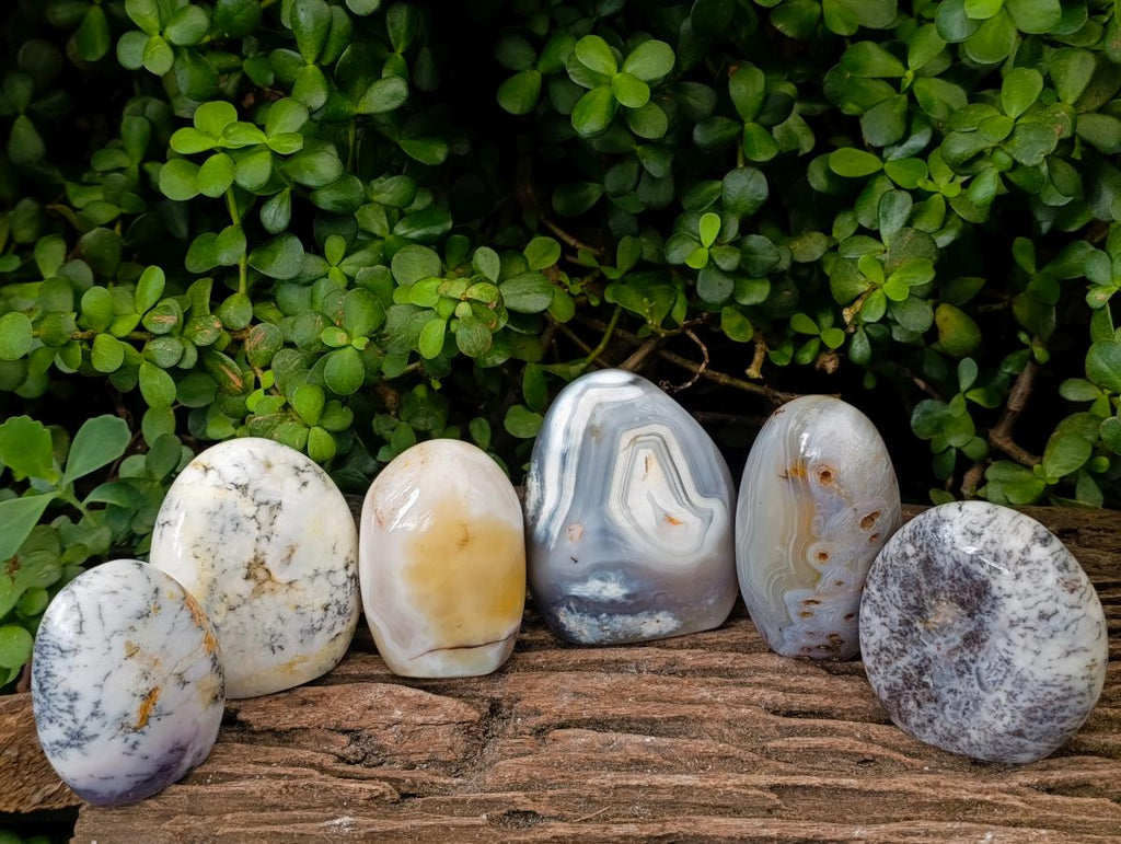 Polished Banded Agate and Flower Agate Standing Free Forms x 6 From Madagascar - Toprock Gemstones and Minerals 