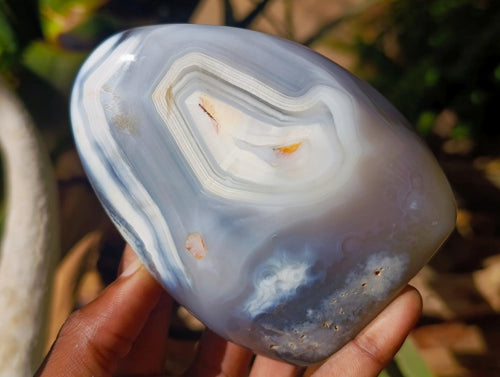 Polished Banded Agate and Flower Agate Standing Free Forms x 6 From Madagascar - Toprock Gemstones and Minerals 