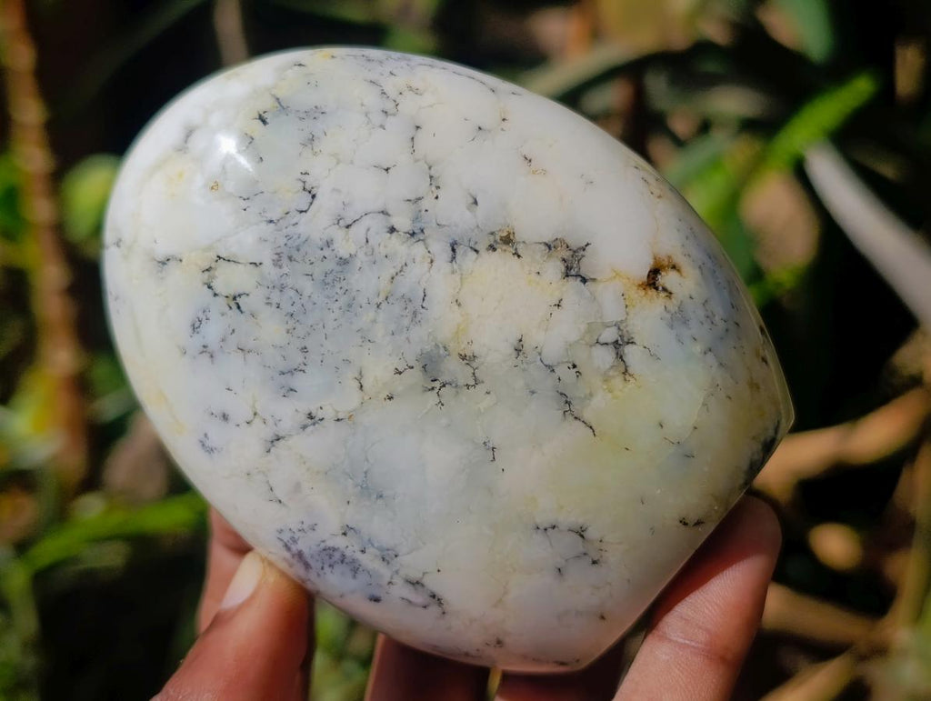 Polished Banded Agate and Flower Agate Standing Free Forms x 6 From Madagascar - Toprock Gemstones and Minerals 