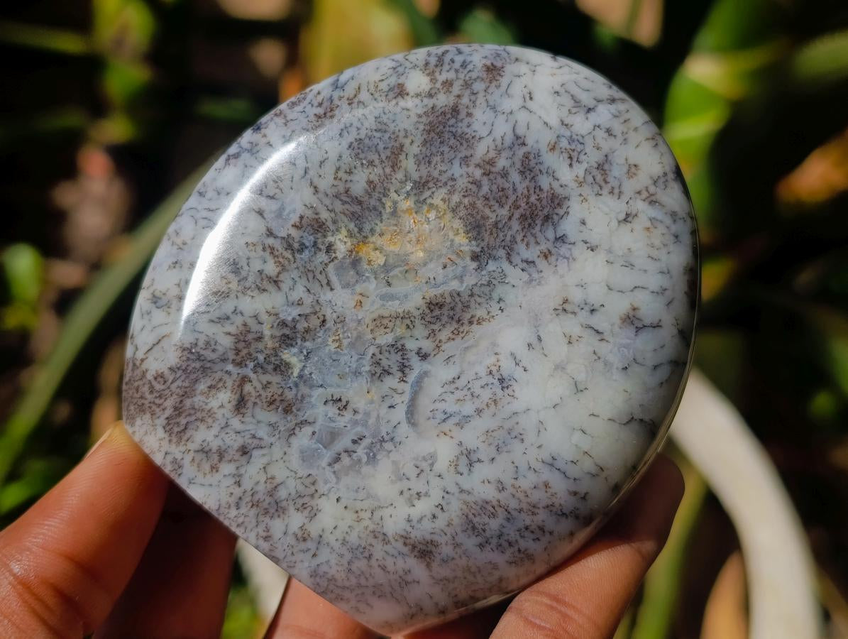 Polished Banded Agate and Flower Agate Standing Free Forms x 6 From Madagascar - Toprock Gemstones and Minerals 
