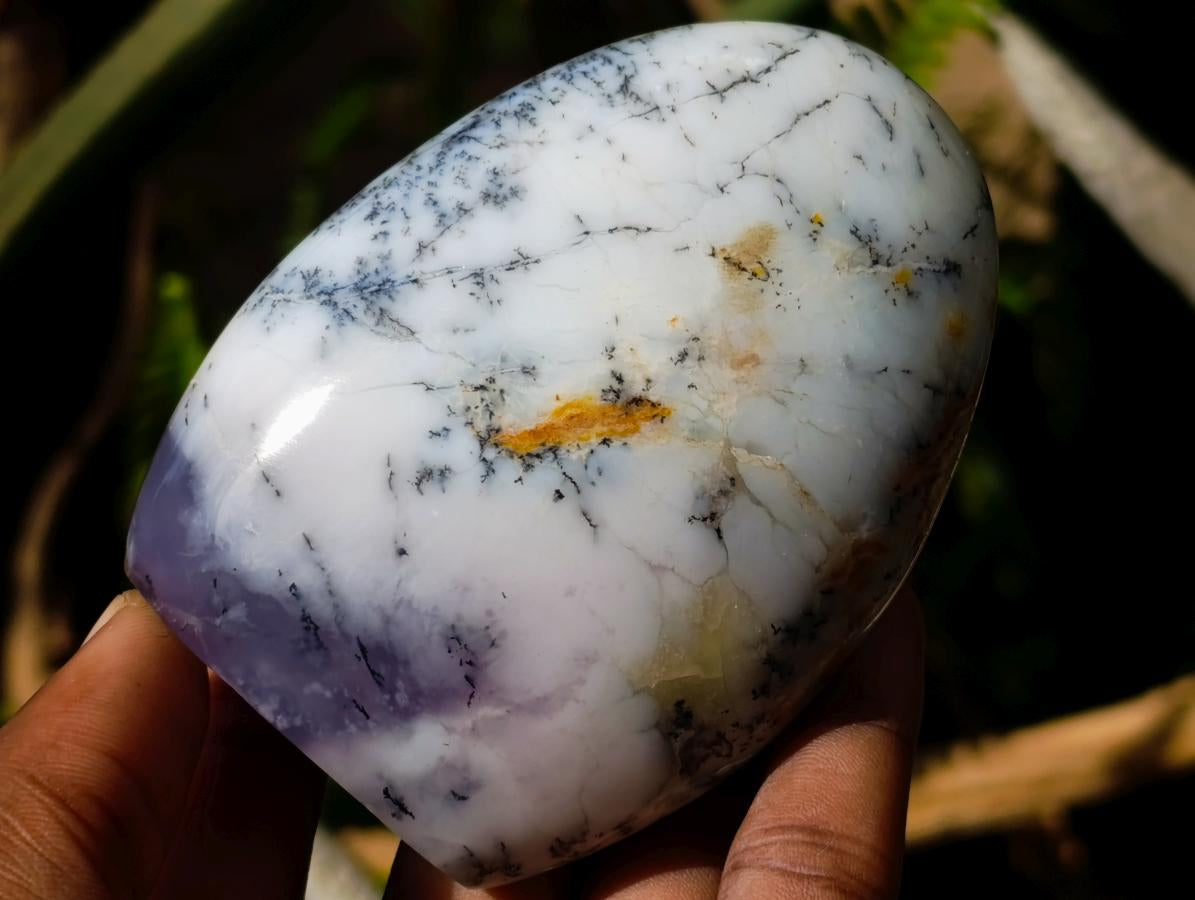 Polished Banded Agate and Flower Agate Standing Free Forms x 6 From Madagascar - Toprock Gemstones and Minerals 