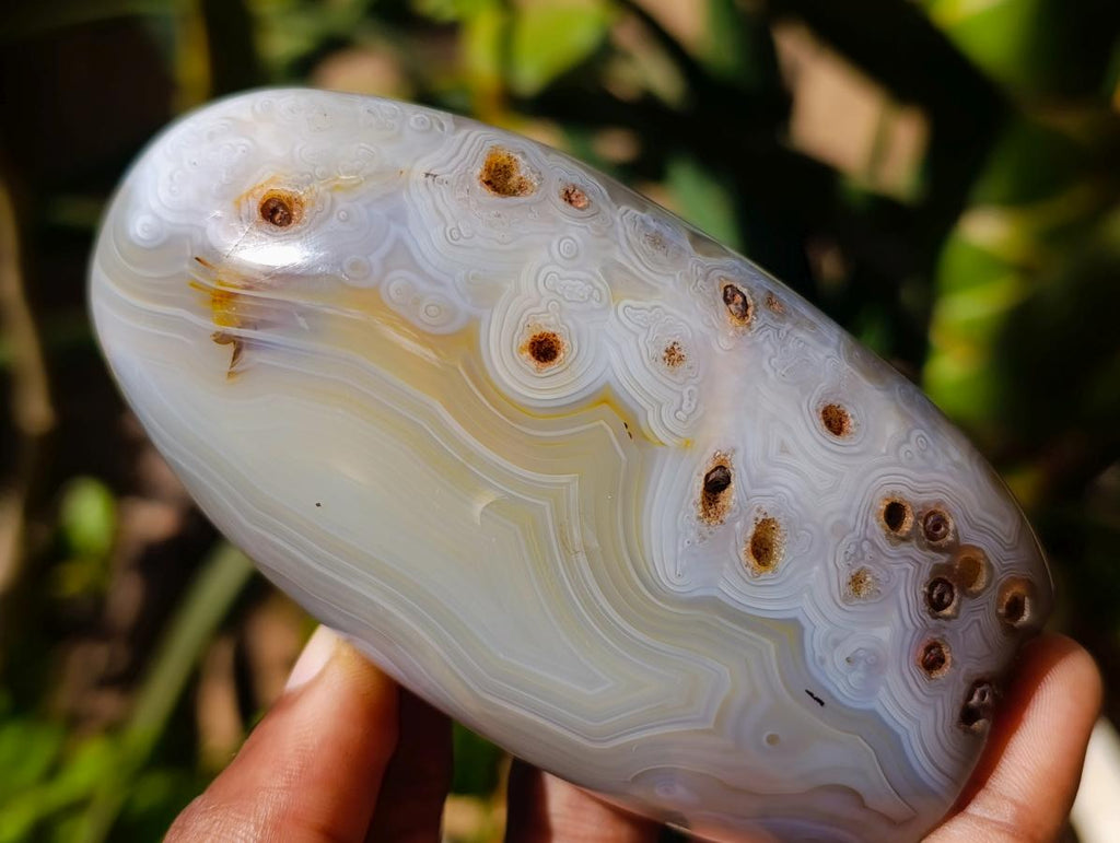 Polished Banded Agate and Flower Agate Standing Free Forms x 6 From Madagascar - Toprock Gemstones and Minerals 