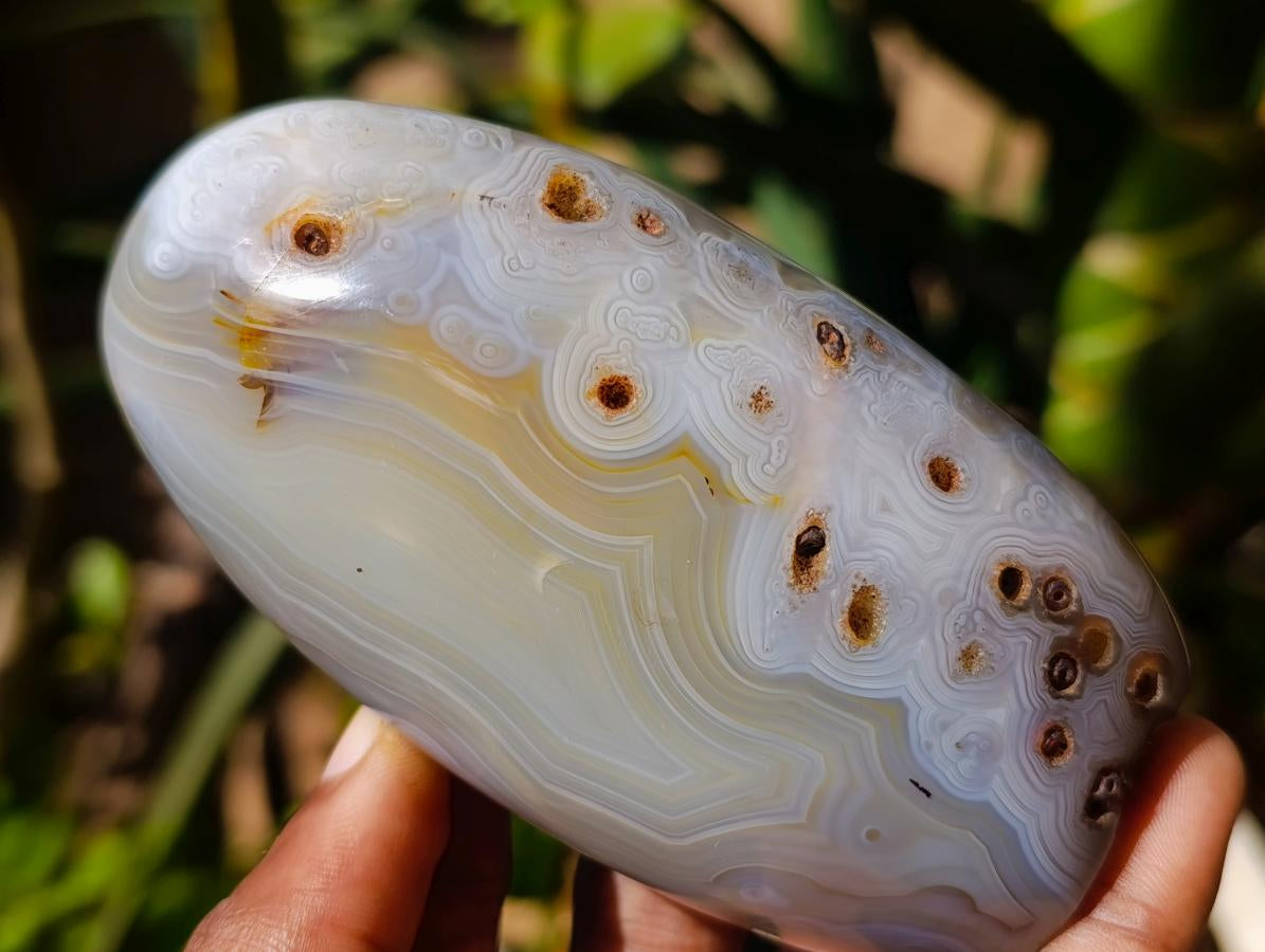 Polished Banded Agate and Flower Agate Standing Free Forms x 6 From Madagascar - Toprock Gemstones and Minerals 