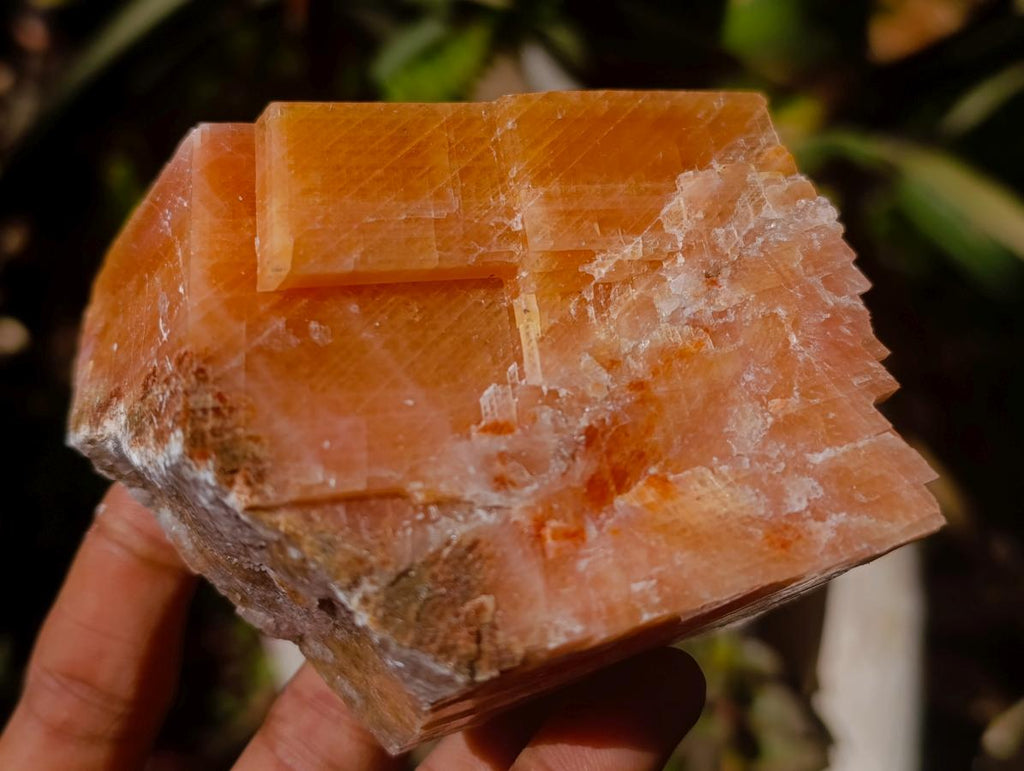Natural Rhombohedral Sunset Orange Calcite Specimens x 6 From Spitzkop, Namibia - Toprock Gemstones and Minerals 
