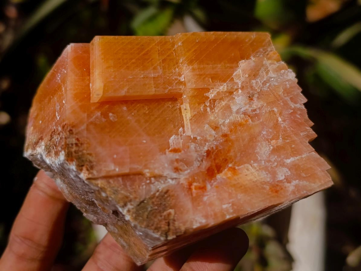 Natural Rhombohedral Sunset Orange Calcite Specimens x 6 From Spitzkop, Namibia - Toprock Gemstones and Minerals 