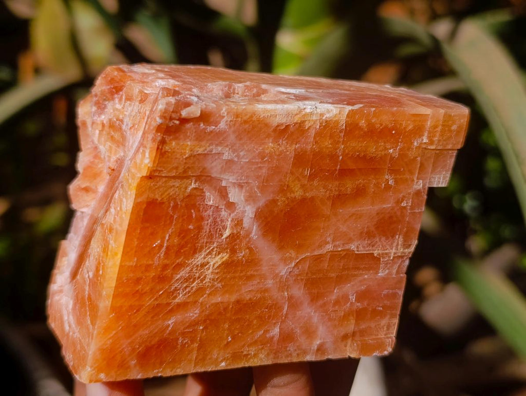 Natural Rhombohedral Sunset Orange Calcite Specimens x 6 From Spitzkop, Namibia - Toprock Gemstones and Minerals 