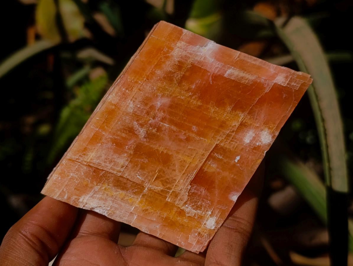 Natural Rhombohedral Sunset Orange Calcite Specimens x 6 From Spitzkop, Namibia - Toprock Gemstones and Minerals 