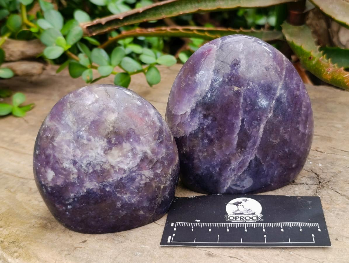 Polished Lepidolite Standing Free Forms x 4 From Ambatondrazaka, Madagascar - Toprock Gemstones and Minerals 