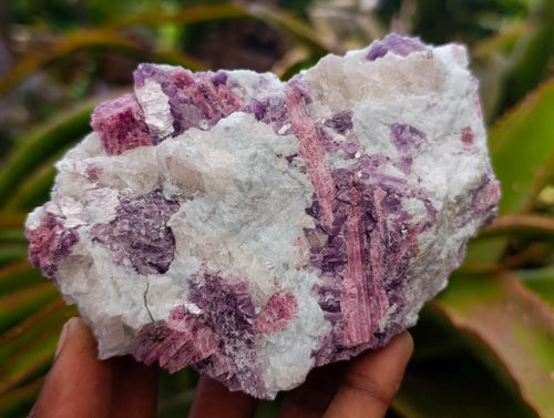 Natural Pink Rubellite Tourmaline Specimens x 6 From Karibib, Namibia - Toprock Gemstones and Minerals 
