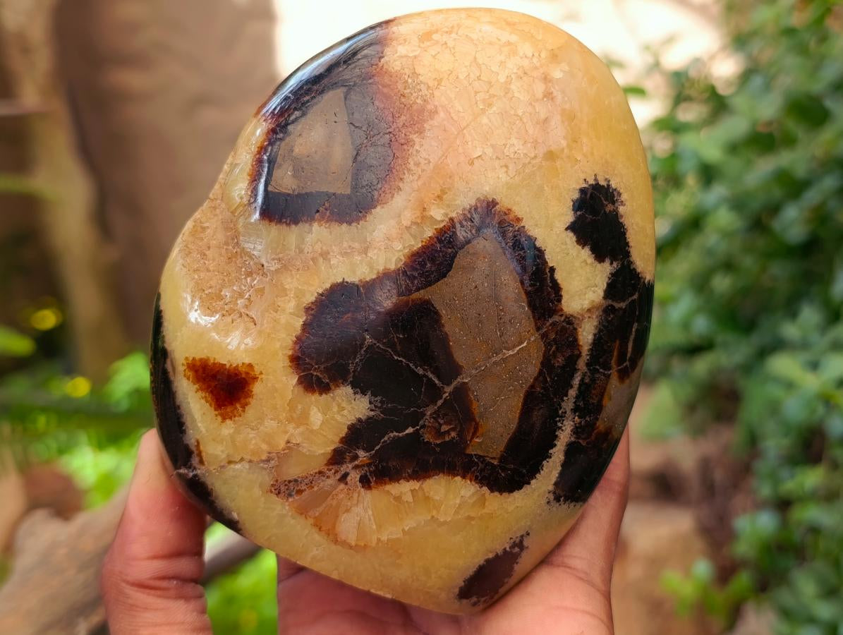 Polished Septerye Standing Free Forms x 2 From Mahajanga, Madagascar - Toprock Gemstones and Minerals 