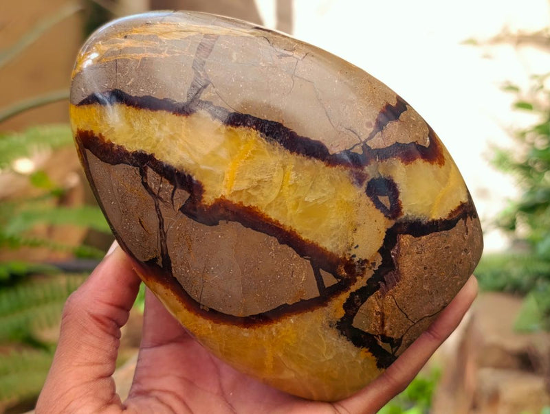 Polished Septerye Standing Free Forms x 2 From Mahajanga, Madagascar - Toprock Gemstones and Minerals 