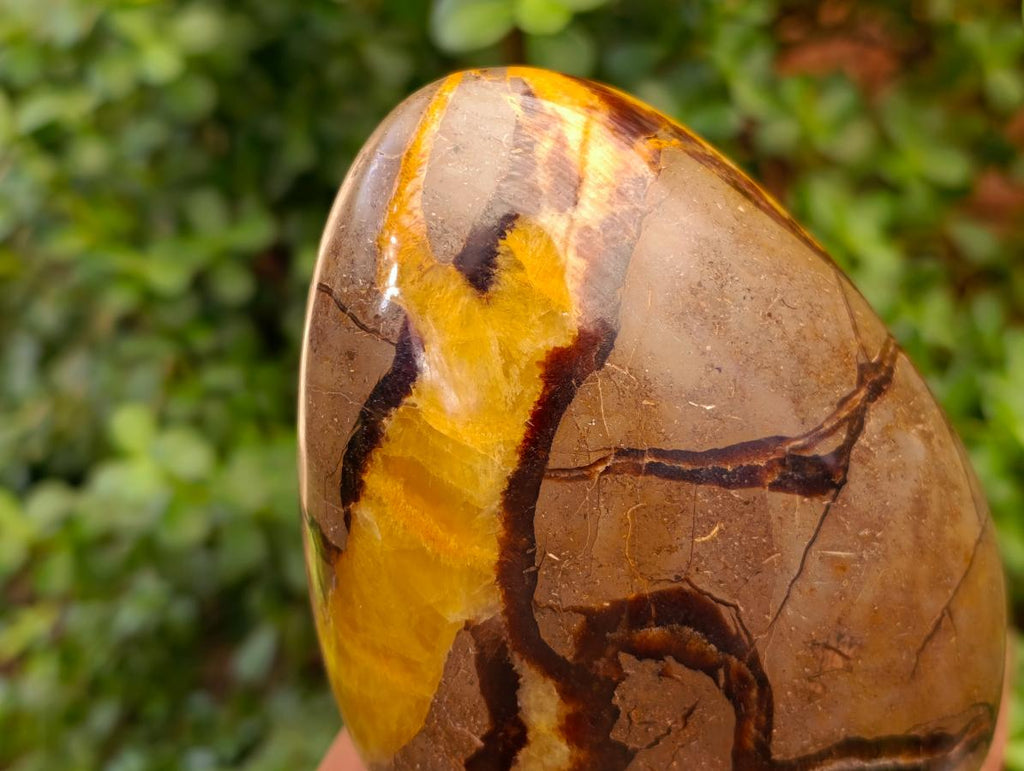 Polished Septerye Standing Free Forms x 2 From Mahajanga, Madagascar - Toprock Gemstones and Minerals 