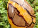 Polished Septerye Standing Free Forms x 2 From Mahajanga, Madagascar - Toprock Gemstones and Minerals 