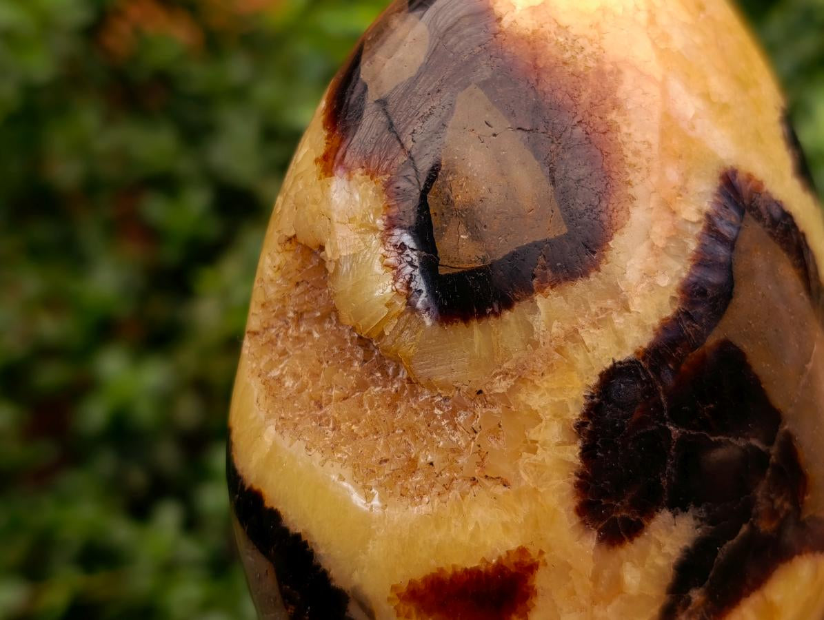Polished Septerye Standing Free Forms x 2 From Mahajanga, Madagascar - Toprock Gemstones and Minerals 