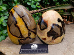 Polished Septerye Standing Free Forms x 2 From Mahajanga, Madagascar - Toprock Gemstones and Minerals 