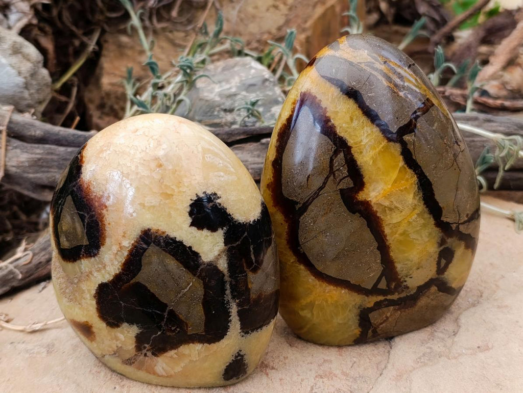 Polished Septerye Standing Free Forms x 2 From Mahajanga, Madagascar - Toprock Gemstones and Minerals 