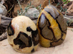 Polished Septerye Standing Free Forms x 2 From Mahajanga, Madagascar - Toprock Gemstones and Minerals 