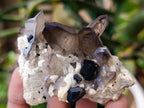 Natural Multi Mineral Specimen x 6 From Erongo, Namibia - Toprock Gemstones and Minerals 