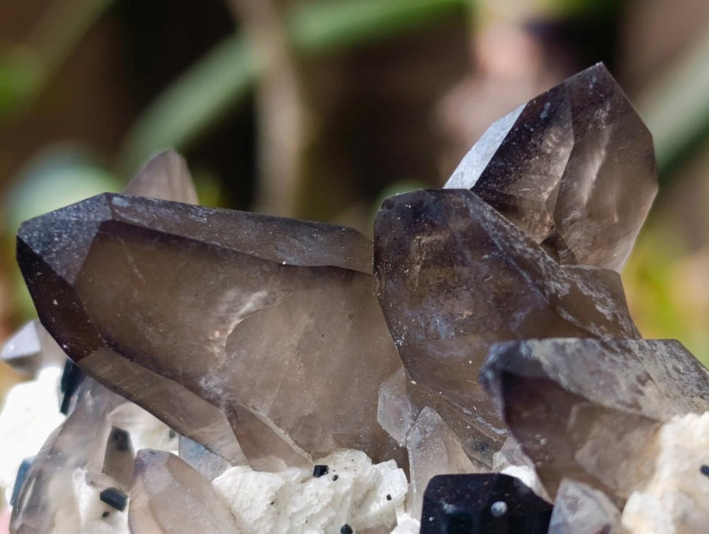 Natural Multi Mineral Specimen x 6 From Erongo, Namibia - Toprock Gemstones and Minerals 