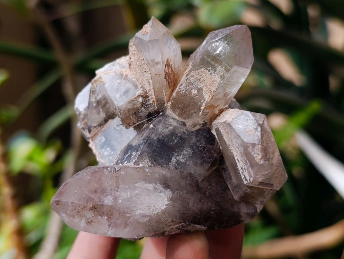 Natural Multi Mineral Specimen x 6 From Erongo, Namibia - Toprock Gemstones and Minerals 