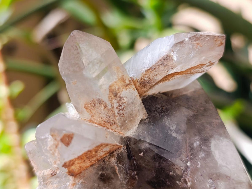 Natural Multi Mineral Specimen x 6 From Erongo, Namibia - Toprock Gemstones and Minerals 