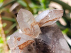 Natural Multi Mineral Specimen x 6 From Erongo, Namibia - Toprock Gemstones and Minerals 