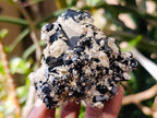 Natural Multi Mineral Specimen x 6 From Erongo, Namibia - Toprock Gemstones and Minerals 