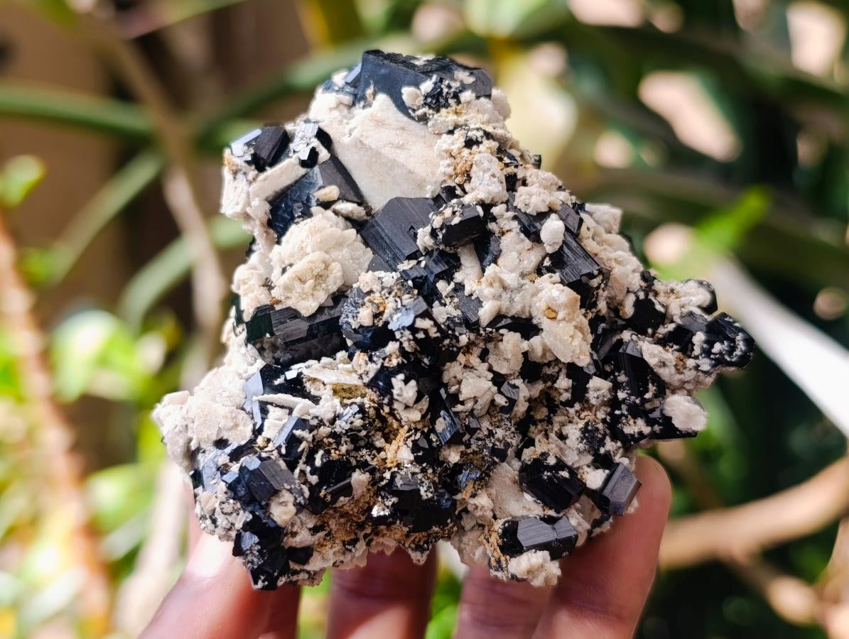 Natural Multi Mineral Specimen x 6 From Erongo, Namibia - Toprock Gemstones and Minerals 