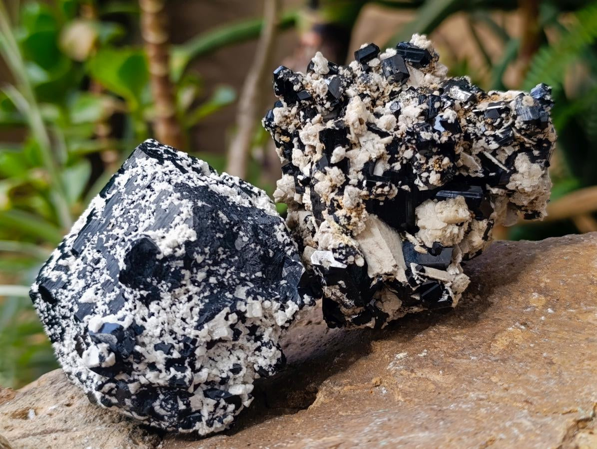 Natural Multi Mineral Specimen x 6 From Erongo, Namibia - Toprock Gemstones and Minerals 