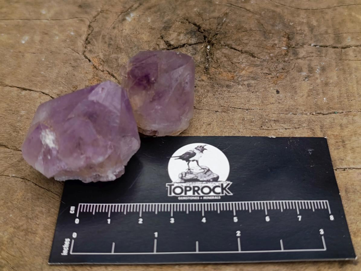 Natural Cactus Flower Amethyst Spirit Quartz Crystals x 63 From South Africa - Toprock Gemstones and Minerals 