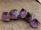 Natural Cactus Flower Amethyst Spirit Quartz Crystals x 63 From South Africa - Toprock Gemstones and Minerals 