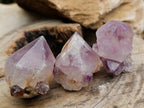 Natural Cactus Flower Amethyst Spirit Quartz Crystals x 63 From South Africa - Toprock Gemstones and Minerals 