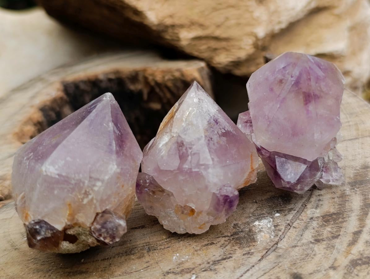 Natural Cactus Flower Amethyst Spirit Quartz Crystals x 63 From South Africa - Toprock Gemstones and Minerals 