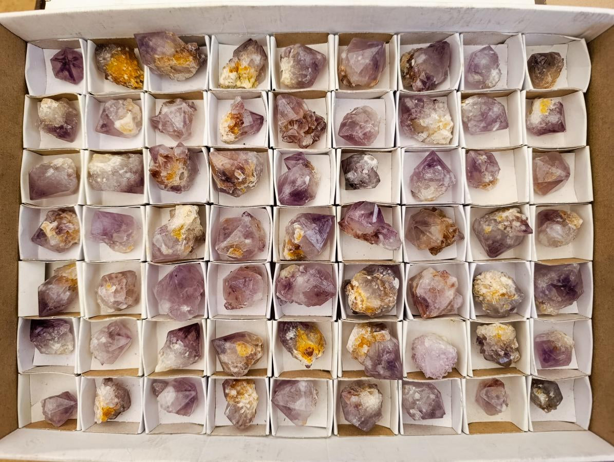 Natural Cactus Flower Amethyst Spirit Quartz Crystals x 63 From South Africa - Toprock Gemstones and Minerals 