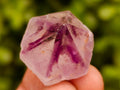 Natural Cactus Flower Amethyst Spirit Quartz Crystals x 63 From South Africa - Toprock Gemstones and Minerals 