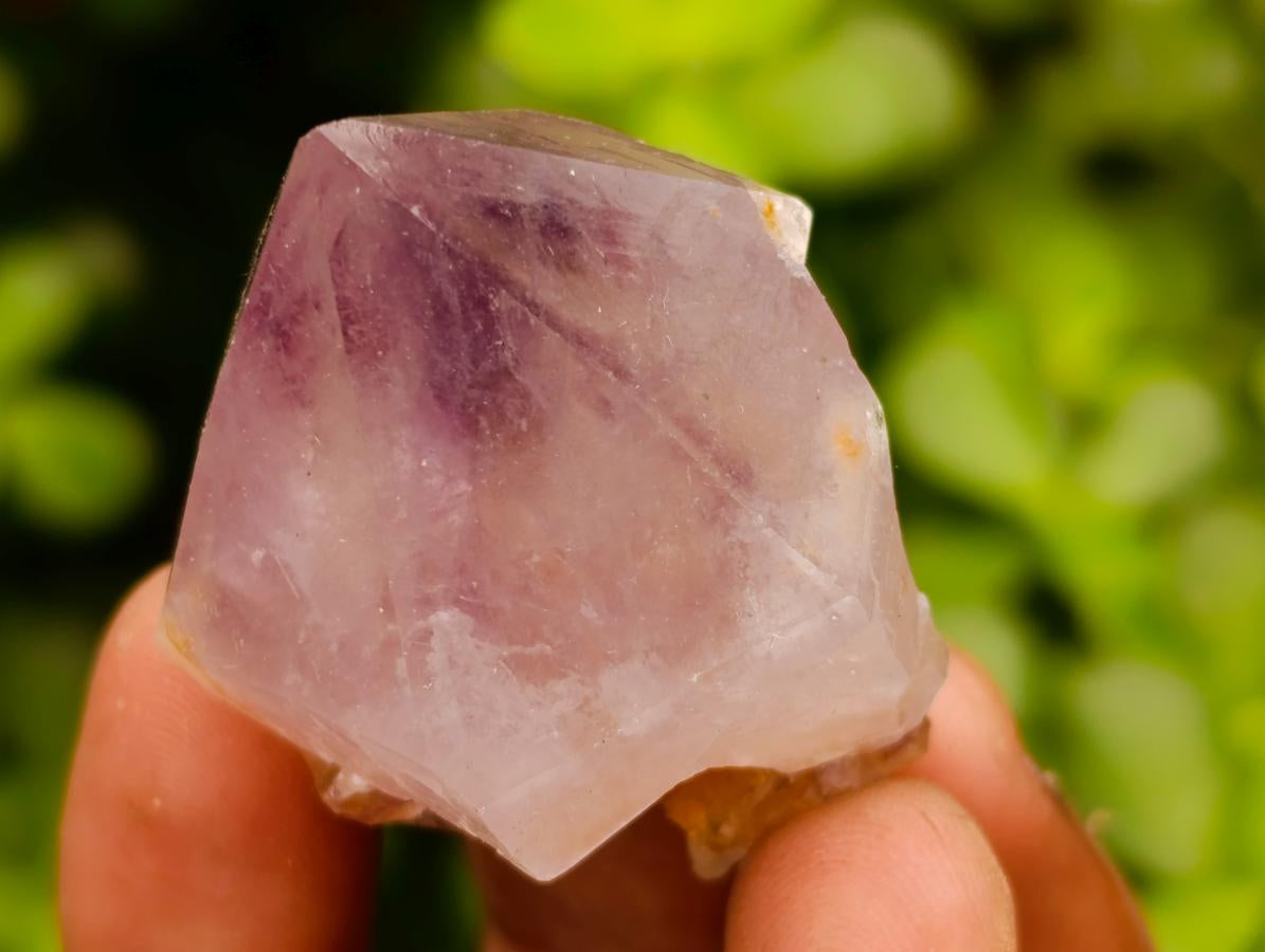 Natural Cactus Flower Amethyst Spirit Quartz Crystals x 63 From South Africa - Toprock Gemstones and Minerals 