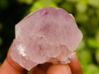 Natural Cactus Flower Amethyst Spirit Quartz Crystals x 63 From South Africa - Toprock Gemstones and Minerals 