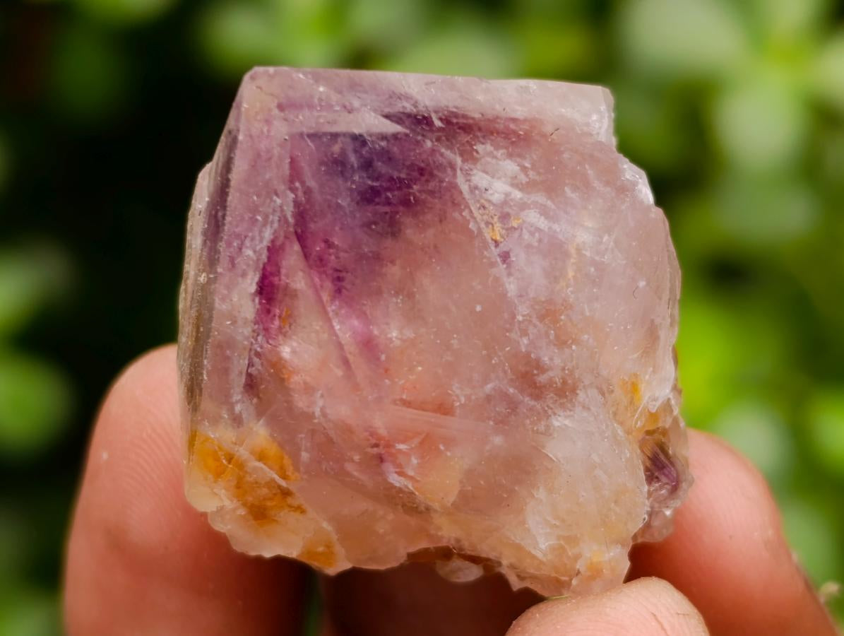 Natural Cactus Flower Amethyst Spirit Quartz Crystals x 63 From South Africa - Toprock Gemstones and Minerals 