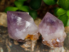 Natural Cactus Flower Amethyst Spirit Quartz Crystals x 63 From South Africa - Toprock Gemstones and Minerals 