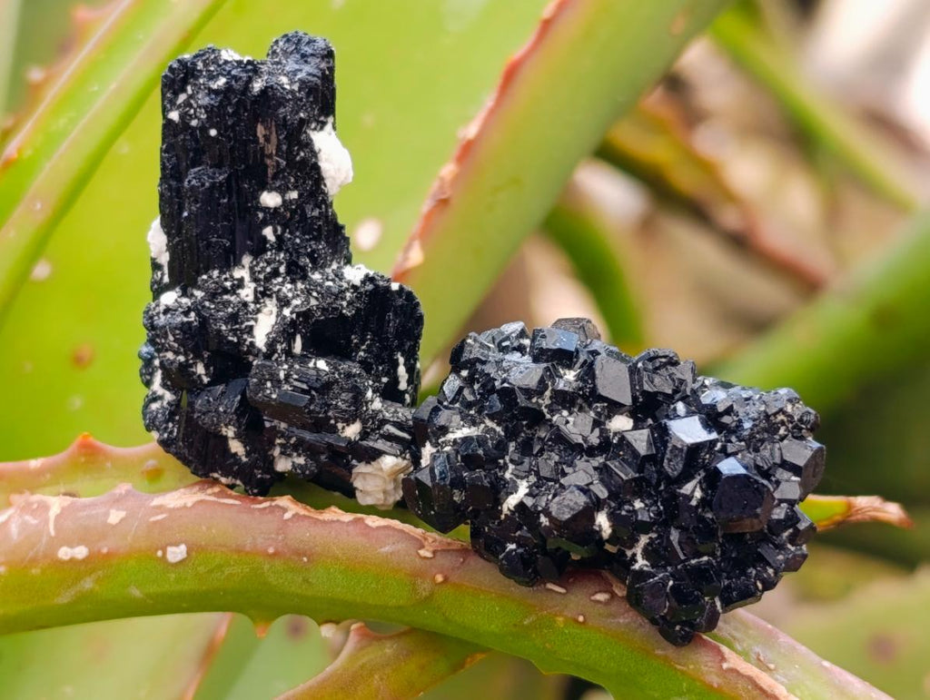 Natural Schorl Black Tourmaline with Feldspar Specimens x 71 From Erongo, Namibia - Toprock Gemstones and Minerals 