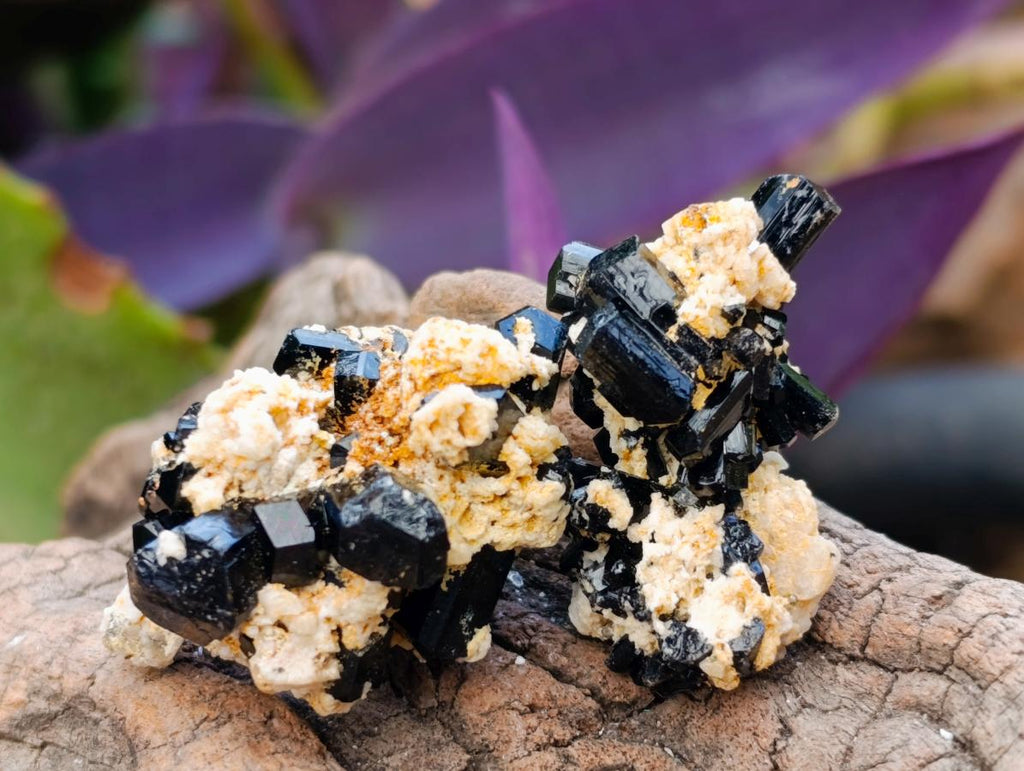 Natural Schorl Black Tourmaline with Feldspar Specimens x 71 From Erongo, Namibia - Toprock Gemstones and Minerals 