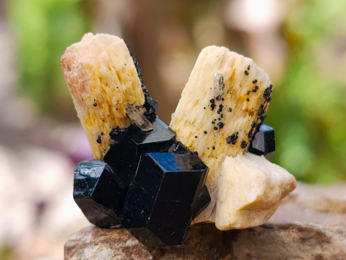 Natural Schorl Black Tourmaline with Feldspar Specimens x 71 From Erongo, Namibia - Toprock Gemstones and Minerals 