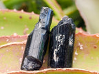 Natural Schorl Black Tourmaline with Feldspar Specimens x 71 From Erongo, Namibia - Toprock Gemstones and Minerals 