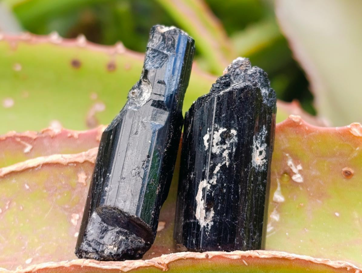 Natural Schorl Black Tourmaline with Feldspar Specimens x 71 From Erongo, Namibia - Toprock Gemstones and Minerals 