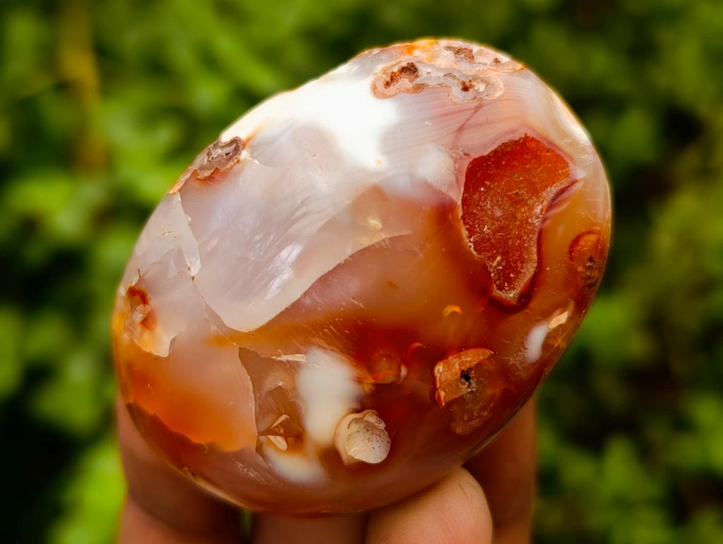 Polished Flower Agate Palm Stones x 24 From Antsahalova, Madagascar - Toprock Gemstones and Minerals 