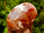 Polished Flower Agate Palm Stones x 24 From Antsahalova, Madagascar - Toprock Gemstones and Minerals 