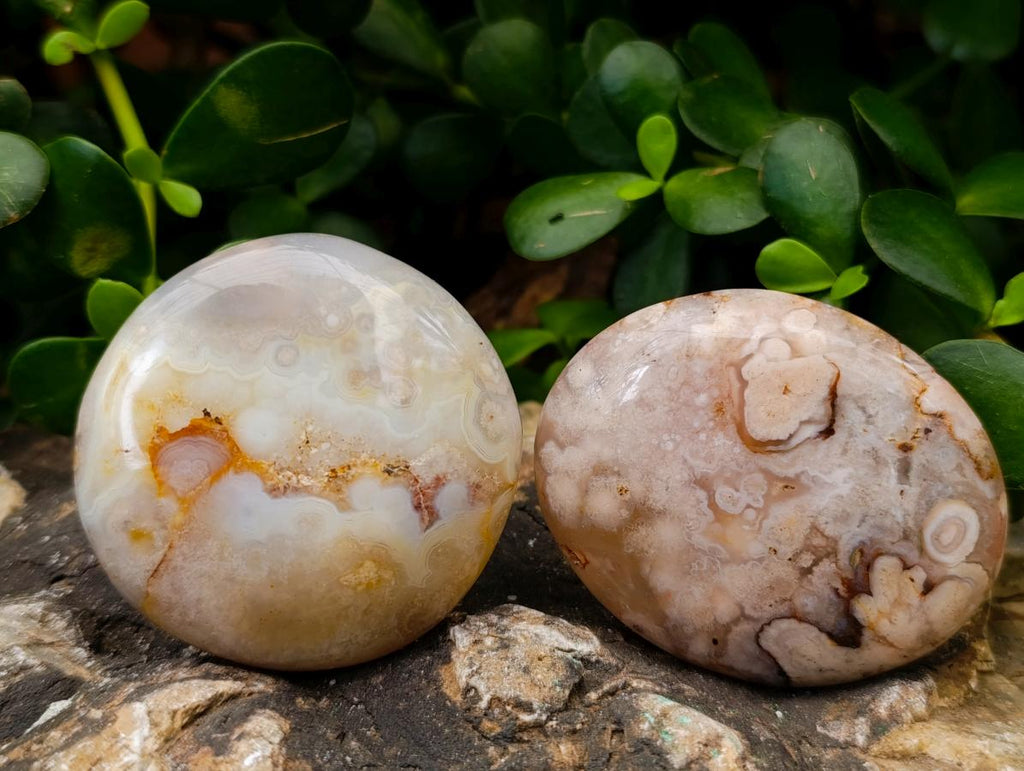 Polished Flower Agate Palm Stones x 24 From Antsahalova, Madagascar - Toprock Gemstones and Minerals 